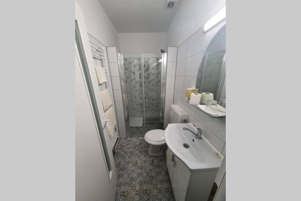 شقة Casa Frizerului - Pets Allowed For Free & Moto Friendly Sebeş المظهر الخارجي الصورة